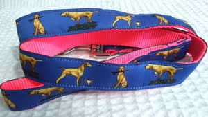 photo of Hungarian Vizsla Blue on Pink Lead