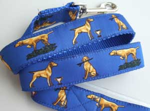 photo of Hungarian Vizsla on Blue Lead