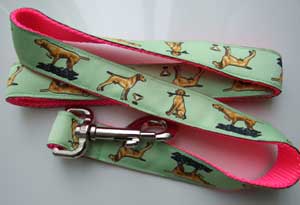 photo of Hungarian Vizsla oGreen on Pink Lead