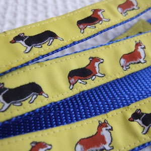 photo of Woven Collar - Welsh Corgi - Yellow on Blue