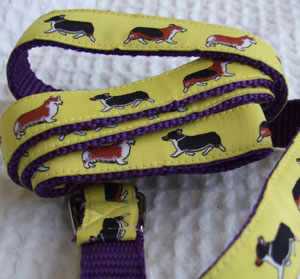 photo of Woven Collar - Welsh Corgi - Yellow on Purple