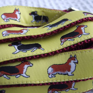 photo of Woven Collar - Welsh Corgi - Yellow on Wine Red