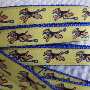 photo of Welsh Terrier Yellow on Blue Woven Collar