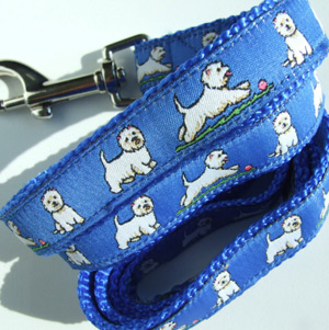 photo of Westie Blue Woven Collar