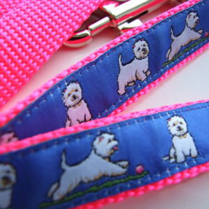 photo of Westie Blue on Pink Woven Collar