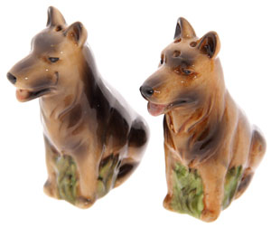 photo of German Shepherd Cruet