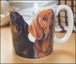 photo of Dachshund mug