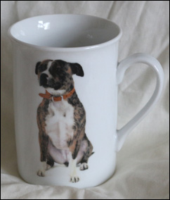 photo of brindle staffordshire bull terrier mug