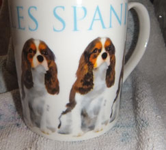 photo of Cavalier King Charles Mug