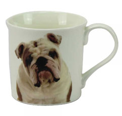 photo of Bulldog Leonardo Mug