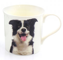 photo of Border Collie Leonardo Mug