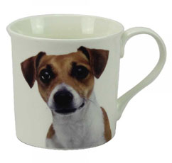 photo of Jack Russell Leonardo Mug