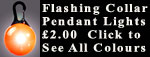 Click to view flashing collar pendant light button