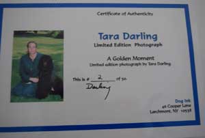 photo of Golden Retriever No 2 portrait certificate
