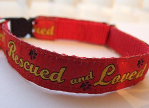 photo of Woven Collar - Rescued and Loved - Red - Small