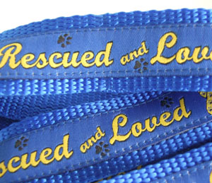 photo of Woven Lead - Rescued and Loved - Blue - Medium+