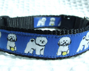 photo of Woven Collar - Bichon - Blue on Black