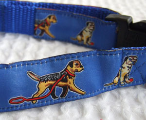 photo of Woven Collar - Border Terrier - Blue