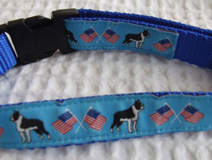 photo of Boston Terrier Blue Woven Collar