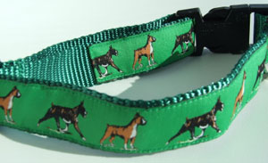 photo of Woven Collar - Border Colie - Green