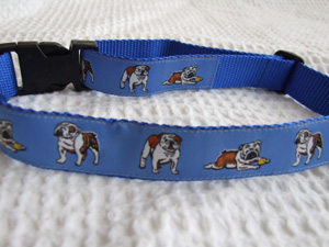 photo of British Bulldog Blue Collar