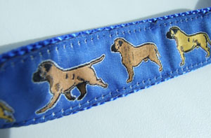 photo of Woven Collar - Bullmastiff - Blue