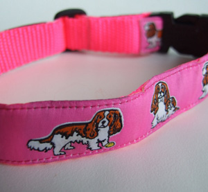 photo of Cavalier King Charles Blenheim Collar Hot Pink Woven