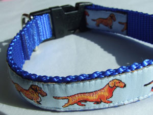 photo of Woven Collar - Standard Dachshund - Blue