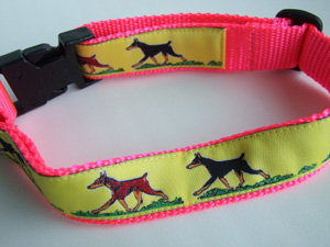 photo of Dobermann collar, Yellow on Pink