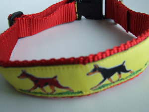 photo of Dobermann collar, Yellow on Red