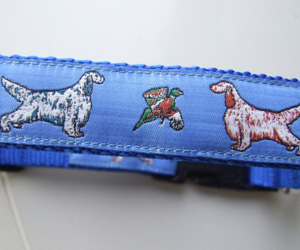 photo of Woven Collar - English Setter - Blue