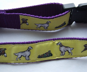 photo of Woven Collar - English Setter - Yellow on Purple