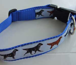 photo of Woven Collar - Flat Coat Retriever - Blue