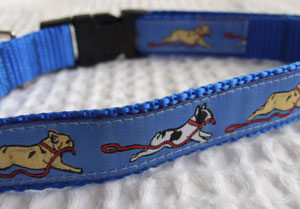 photo of Woven Collar - French Bulldog - Blue