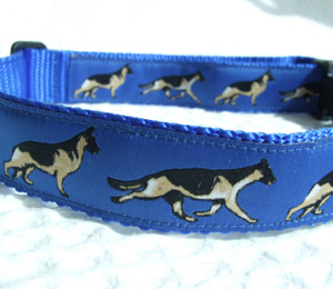 photo of German Shepherd Blue Woven Collar