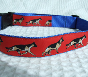 photo of German Shepherd Red on Blue Woven Collar