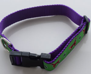 photo of Irish Setter Green 0n Purple Collar