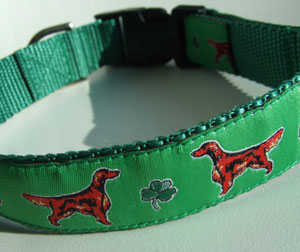 photo of Irish Setter Green Collar