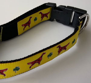 photo of Irish Setter Yellow on Black Collar