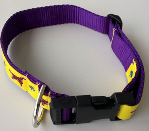 photo of Irish Setter Yellow on Purple Collar