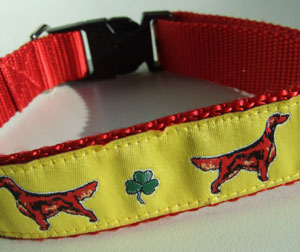 photo of Irish Setter Yellow on Red Collar