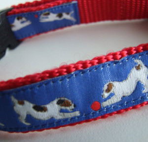 photo of Jack Russell Terrier Blue on Red Woven Collar