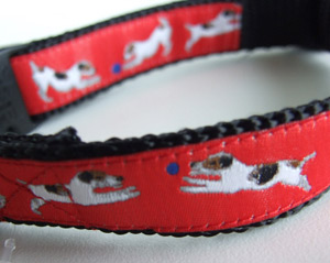 photo of Jack Russell Terrier Red on Black Woven Collar