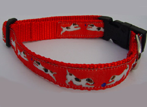 photo of Jack Russell Terrier Red Woven Collar
