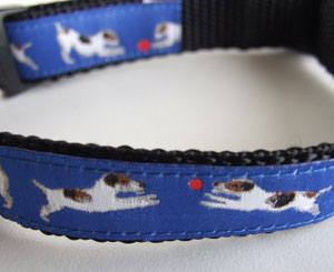photo of Jack Russell Terrier Blue on Black Woven Collar