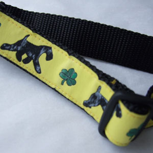photo of Kerry Blue Green on Black Collar