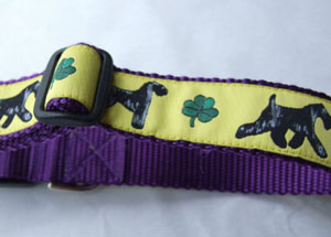 photo of Kerry Blue Yellow on Purple Collar