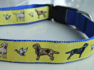 photo of Woven Collar - Labrador Retriever - Red