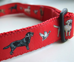 photo of Woven Collar - Labrador - Red