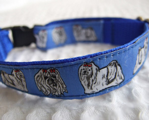 photo of Maltese Blue Woven Collar